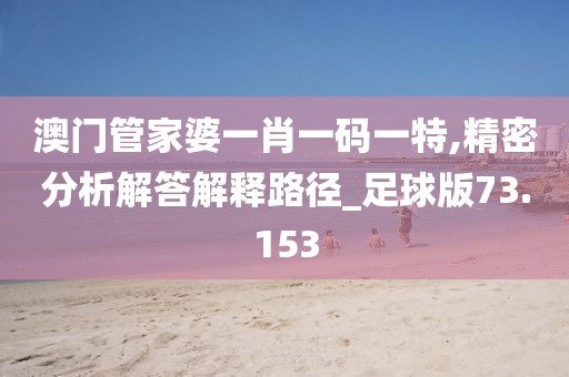 澳門管家婆一肖一碼一特,精密分析解答解釋路徑_足球版73.153