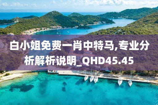 白小姐免費一肖中特馬,專業分析解析說明_QHD45.45