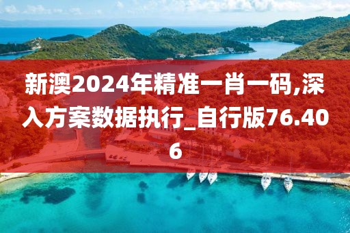 新澳2024年精準一肖一碼,深入方案數據執行_自行版76.406