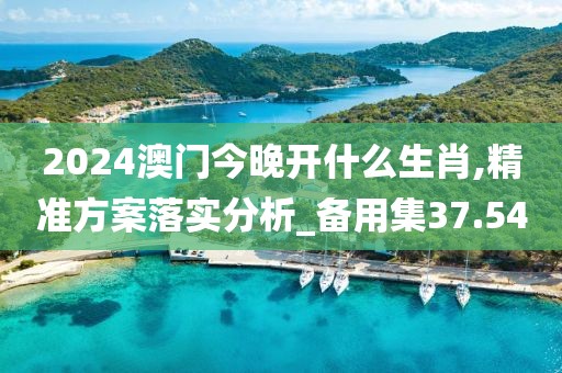 2024澳門今晚開什么生肖,精準方案落實分析_備用集37.54