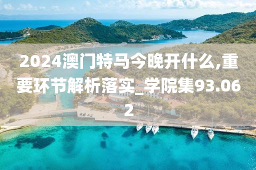 2024澳門特馬今晚開什么,重要環節解析落實_學院集93.062