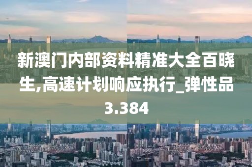 新澳門內部資料精準大全百曉生,高速計劃響應執行_彈性品3.384