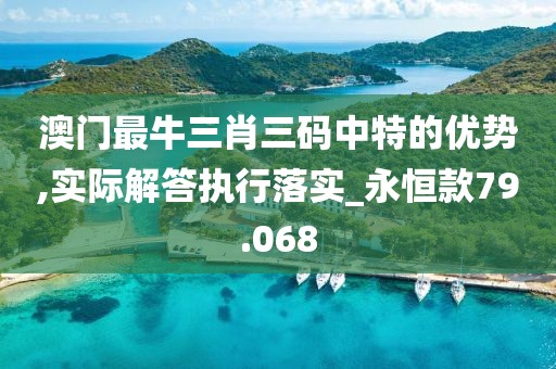 澳門最牛三肖三碼中特的優勢,實際解答執行落實_永恒款79.068