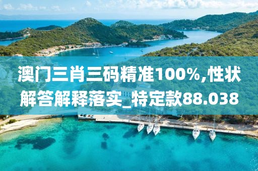 澳門三肖三碼精準100%,性狀解答解釋落實_特定款88.038