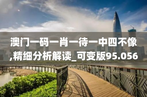 澳門一碼一肖一待一中四不像,精細分析解讀_可變版95.056