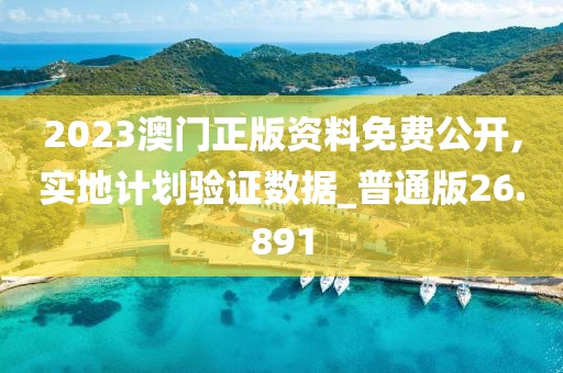 2023澳門正版資料免費公開,實地計劃驗證數據_普通版26.891