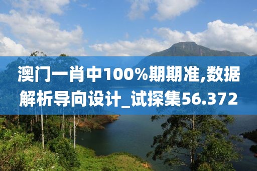 澳門一肖中100%期期準,數據解析導向設計_試探集56.372