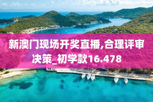 新澳門現場開獎直播,合理評審決策_初學款16.478