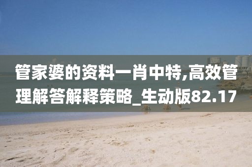 管家婆的資料一肖中特,高效管理解答解釋策略_生動版82.17