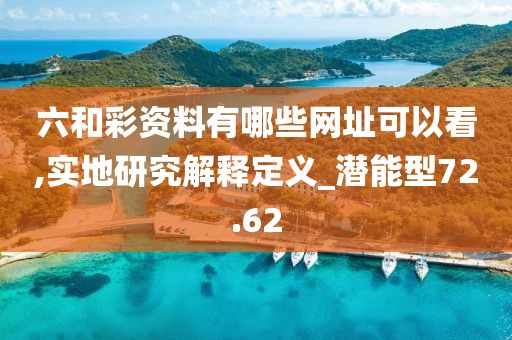 六和彩資料有哪些網址可以看,實地研究解釋定義_潛能型72.62