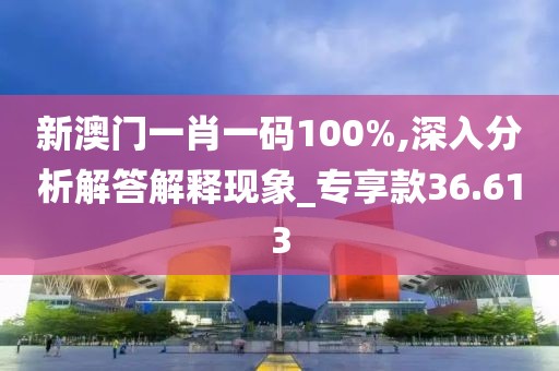 新澳門一肖一碼100%,深入分析解答解釋現象_專享款36.613