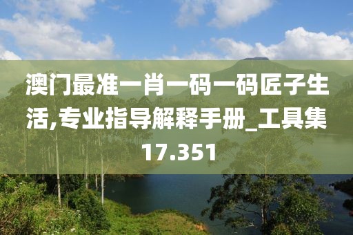 澳門最準一肖一碼一碼匠子生活,專業指導解釋手冊_工具集17.351
