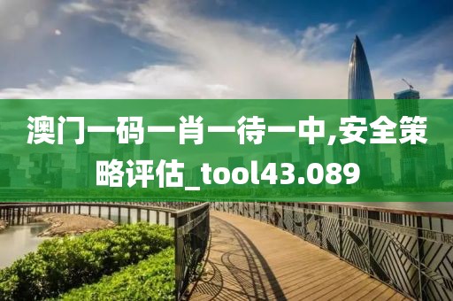 澳門一碼一肖一待一中,安全策略評估_tool43.089