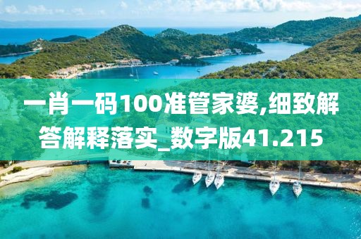 一肖一碼100準管家婆,細致解答解釋落實_數字版41.215