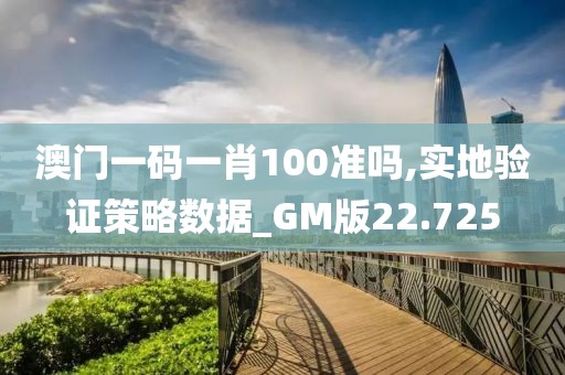 澳門一碼一肖100準嗎,實地驗證策略數據_GM版22.725