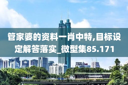 管家婆的資料一肖中特,目標設定解答落實_微型集85.171
