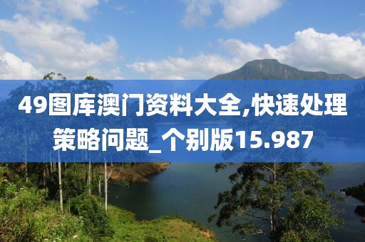 49圖庫澳門資料大全,快速處理策略問題_個別版15.987