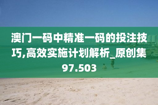 澳門一碼中精準一碼的投注技巧,高效實施計劃解析_原創集97.503