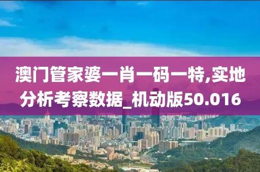 澳門管家婆一肖一碼一特,實地分析考察數據_機動版50.016