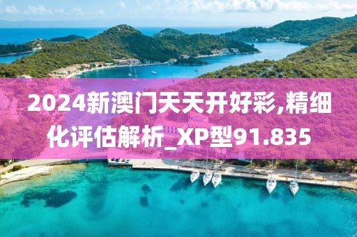 2024新澳門天天開好彩,精細化評估解析_XP型91.835