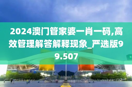 2024澳門管家婆一肖一碼,高效管理解答解釋現象_嚴選版99.507