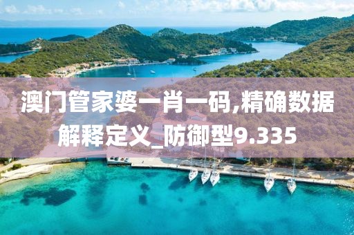 澳門管家婆一肖一碼,精確數據解釋定義_防御型9.335