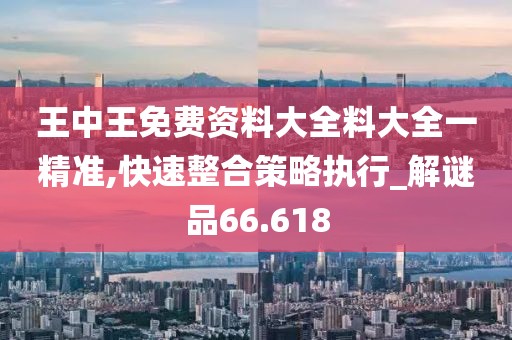 王中王免費資料大全料大全一精準,快速整合策略執行_解謎品66.618