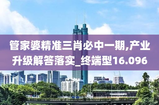 管家婆精準三肖必中一期,產業升級解答落實_終端型16.096
