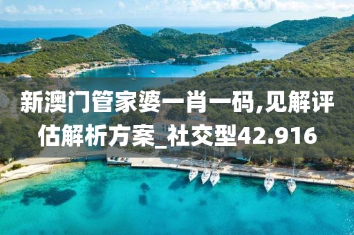 新澳門管家婆一肖一碼,見解評估解析方案_社交型42.916