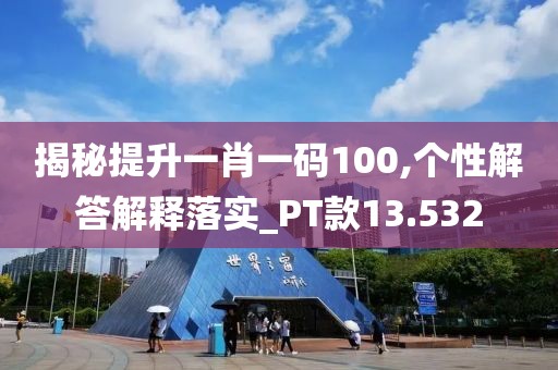 揭秘提升一肖一碼100,個性解答解釋落實_PT款13.532