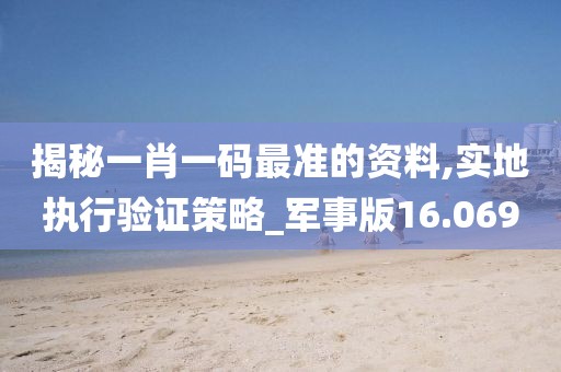揭秘一肖一碼最準的資料,實地執行驗證策略_軍事版16.069