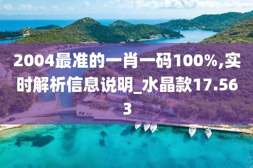 2004最準的一肖一碼100%,實時解析信息說明_水晶款17.563