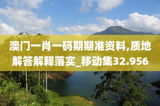 澳門一肖一碼期期準資料,質地解答解釋落實_移動集32.956