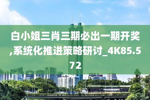 白小姐三肖三期必出一期開獎,系統化推進策略研討_4K85.572