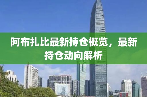 阿布扎比最新持倉概覽，最新持倉動向解析