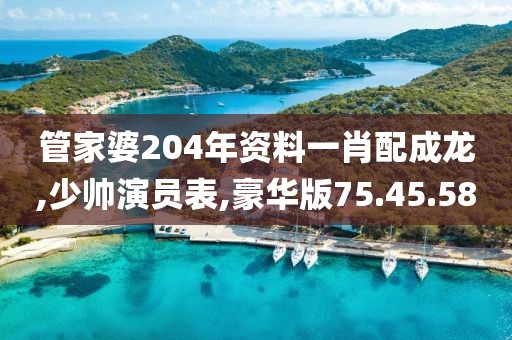 管家婆204年資料一肖配成龍,少帥演員表,豪華版75.45.58