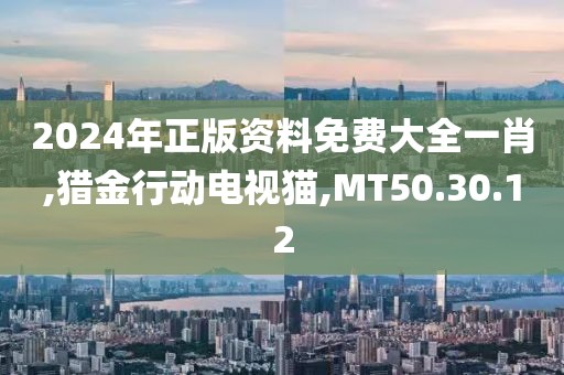 2024年正版資料免費大全一肖,獵金行動電視貓,MT50.30.12