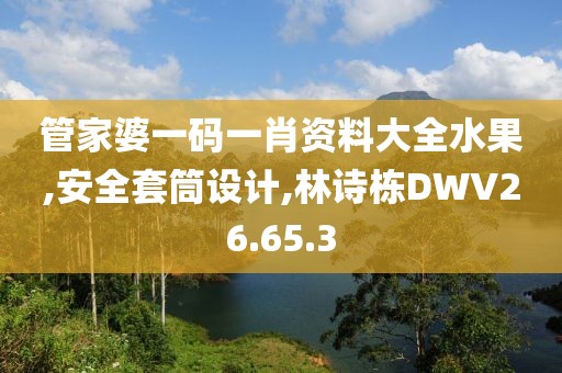 管家婆一碼一肖資料大全水果,安全套筒設計,林詩棟DWV26.65.3