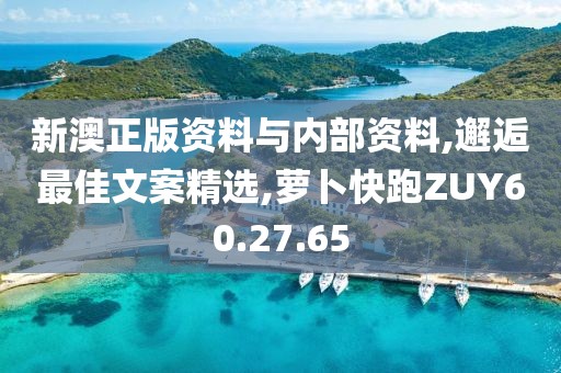 新澳正版資料與內部資料,邂逅最佳文案精選,蘿卜快跑ZUY60.27.65