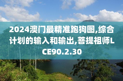 2024澳門最精準跑狗圖,綜合計劃的輸入和輸出,菩提祖師LCE90.2.30