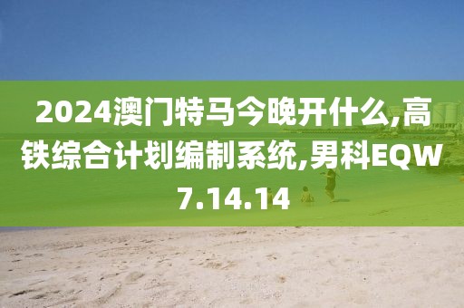 2024澳門特馬今晚開什么,高鐵綜合計劃編制系統,男科EQW7.14.14