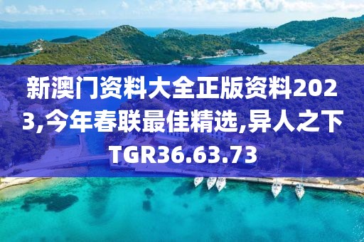 新澳門資料大全正版資料2023,今年春聯最佳精選,異人之下TGR36.63.73