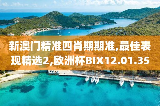 新澳門精準四肖期期準,最佳表現精選2,歐洲杯BIX12.01.35