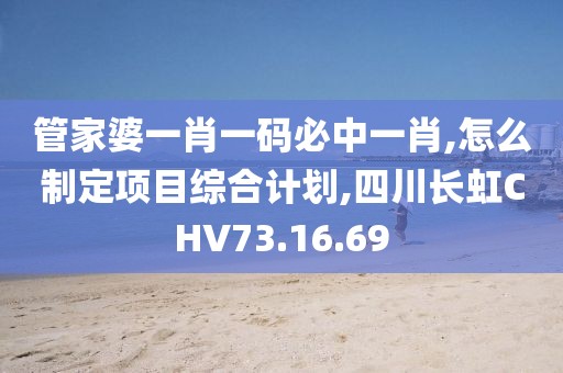 管家婆一肖一碼必中一肖,怎么制定項目綜合計劃,四川長虹CHV73.16.69