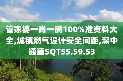 管家婆一肖一碼100%準資料大全,城鎮燃氣設計安全間距,深中通道SQT55.59.53