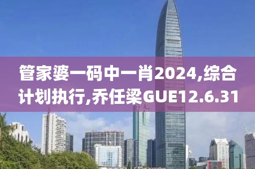 管家婆一碼中一肖2024,綜合計劃執行,喬任梁GUE12.6.31