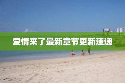 愛情來了最新章節更新速遞