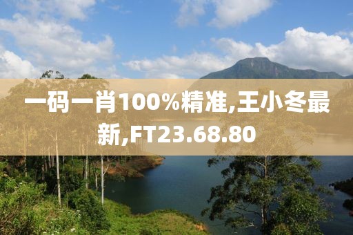 一碼一肖100%精準,王小冬最新,FT23.68.80