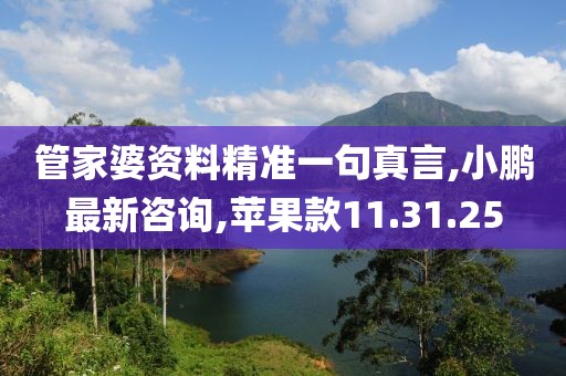管家婆資料精準一句真言,小鵬最新咨詢,蘋果款11.31.25