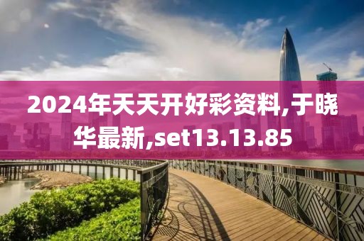2024年天天開好彩資料,于曉華最新,set13.13.85